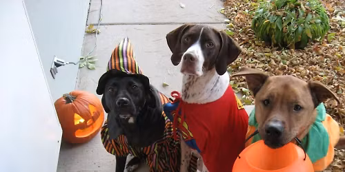 Howl-O-Ween Stroll