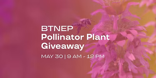 BTNEP Pollinator Plant Giveaway