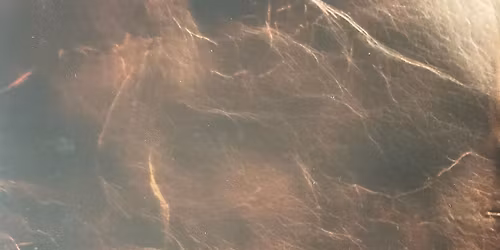 Le myst\u00e8re des Dragons - La Qu\u00eate Fantastique - Metz - dimanche 14 juin 2026