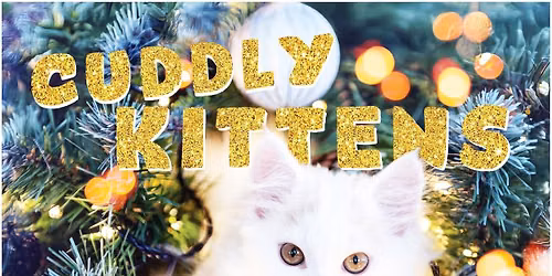 A Very Embers Christmas