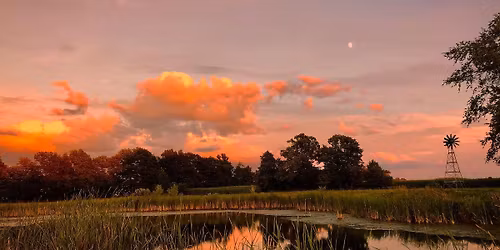 Rooted in Light: Celebrating the Beauty of the Earth and the Resilience of Community