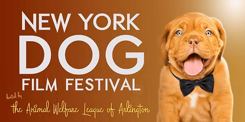 NY Dog Film Festival at Overture Center - Overture Hall