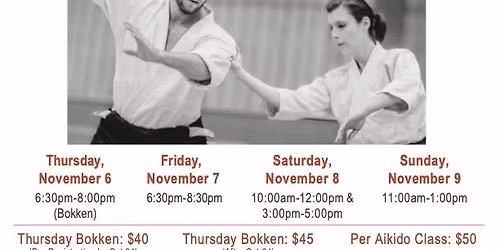 Mats Ahlin Sensei Friendship Seminar in New Orleans