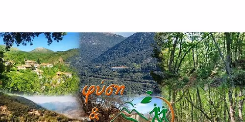 \u03a6\u03bb\u03ac\u03bc\u03c0\u03bf\u03c5\u03c1\u03b1-\u0391\u03b3\u03af\u03b1 \u039b\u03b1\u03cd\u03c1\u03b1 .