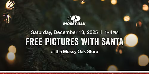 FREE Pictures with Santa