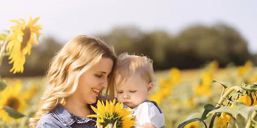 Sunflower Mini Photoshoots