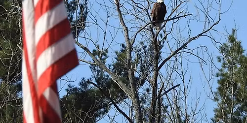 The Smoke live at American Legion Post 4 Lakeland, 7-10pm!!