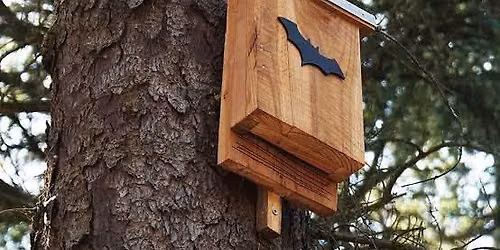 Bat Box Building Workshop