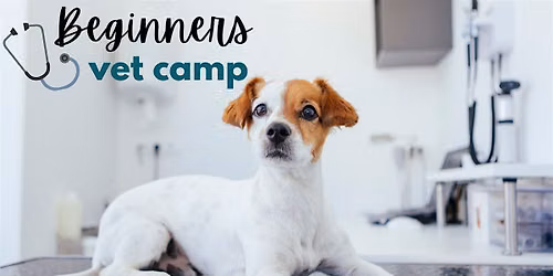 Beginner's Vet Camp - 2026 Session 2