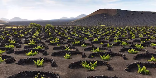  \ud83c\udf0bVolcanic Wine Tasting Experience \ud83c\udf47