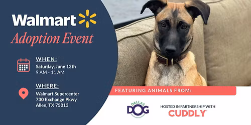 Walmart Adoption Event | Allen, TX