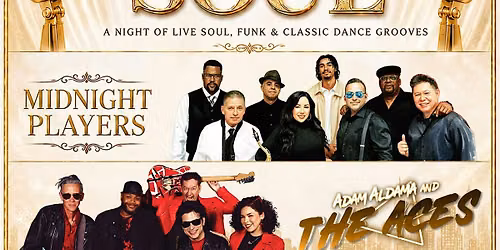 Midnight Soul- A Night of Live Music