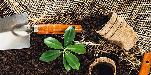 Vegetable Gardening 101