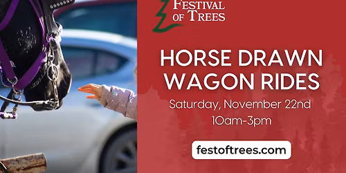Horse Drawn Wagon Rides- Festival of Trees