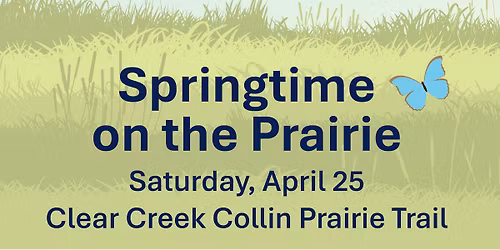 Springtime on the Prairie