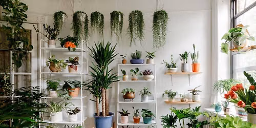 PLANT BINGO 