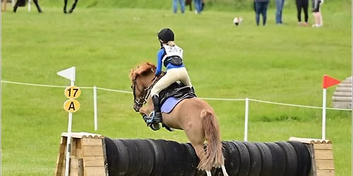 MINI CLEAR ROUND XC & SJ