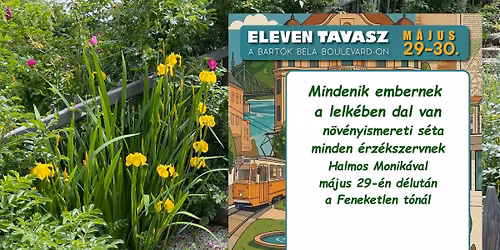 Mindenik embernek a lelk\u00e9ben dal van - n\u00f6v\u00e9nyismereti s\u00e9ta minden \u00e9rz\u00e9kszervnek Halmos Monik\u00e1val