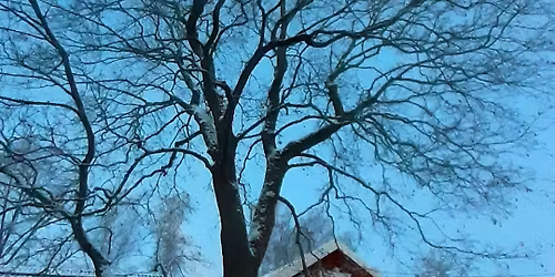 Viime hetken ekologiset joulumyyj\u00e4iset