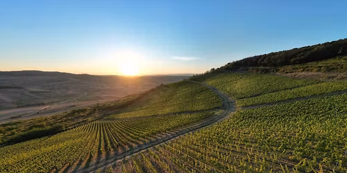 Az YWINE bor\u00e1szat k\u00f3stol\u00f3ja 