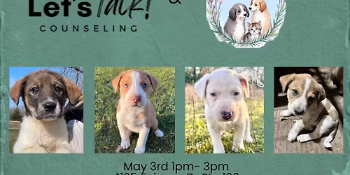 Pawsitive Puppy Time! 