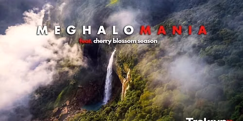 Meghalomania feat. Cherry Blossom season | Meghalaya, India