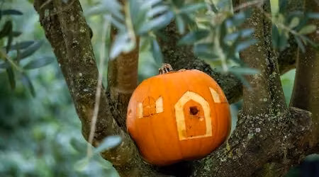 October family fun at Coventry Charterhouse