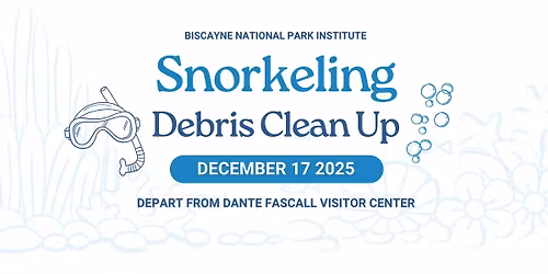 Dive In & Make a Difference: Snorkeling Debris Clean Up at Biscayne