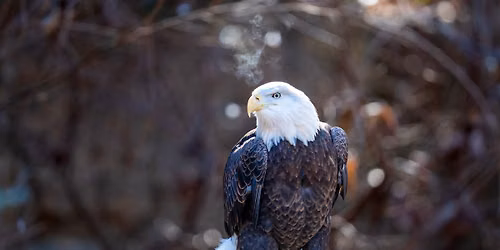 4th of July - FREE admission for military