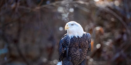 4th of July - FREE admission for military