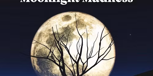 Moon Light Madness