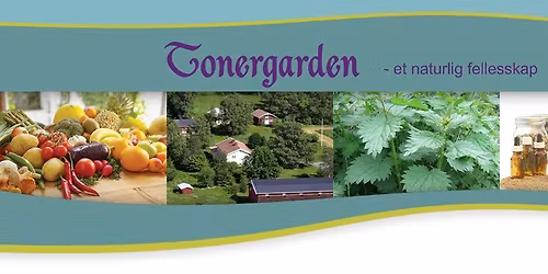 Malekurs med Jon Olav Helle