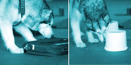 Noseworkin hyv\u00e4ntekev\u00e4isyysetsinn\u00e4t