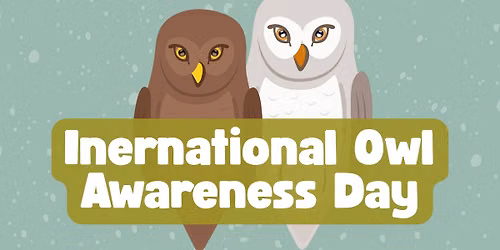 International Owl Awareness Day at Menominee Park Zoo