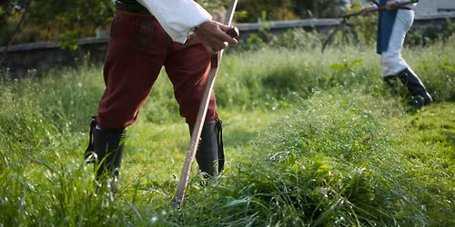 Se\u010deni l\u00f3ke