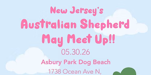NJ\u2019s Australian Shepherd May Meet Up! 