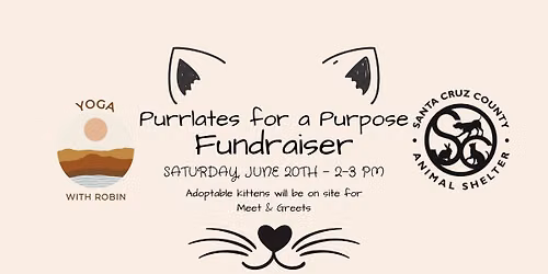 Purrlates for a Purpose Fundraiser 