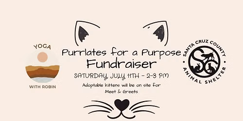 Purrlates for a Purpose Fundraiser