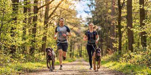 ROE-CROSS Herbstlauf 2026 in Unterfranken