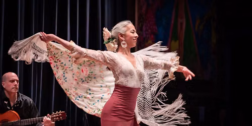 Twin Cities Flamenco Collective at Volstead's