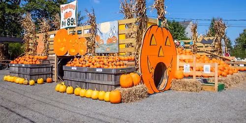 Pumpkin Hill Opening Weekend \ud83c\udf83 Nalls Produce