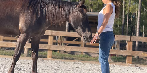 Moonlight Meditation and Empowerment with Horses