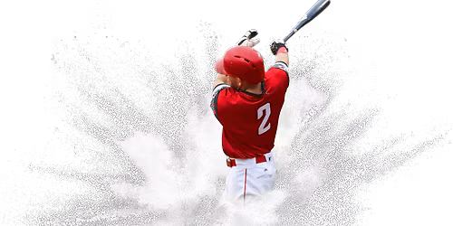 Lancaster Stormers at Charleston Dirty Birds at GoMart Ballpark