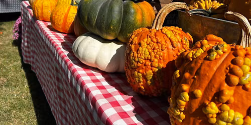 Broadview Heights Fall Fest 2026