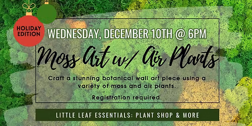 Holiday Edition: Moss Art with Air Plants