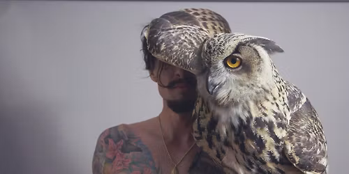 Justin Hawkins Rides Again....Again