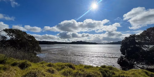 Long Bay Regional Park 10km Group Run - FREE