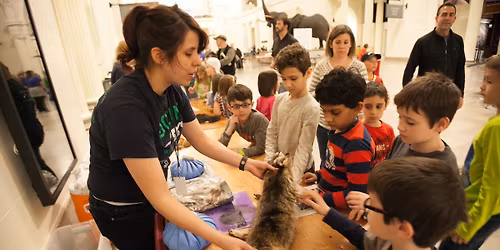 Dozin' with the Dinos