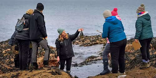 Introduction to Rocky Shore Ecology