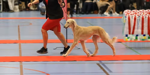 Myndeklubbens for\u00e5rsudstilling i Str\u00f8by 2026